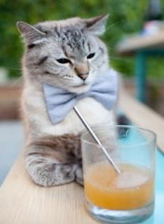 乐鱼体育app下载地址-“电动冲浪：马鞍山赛场掀起水上竞技的新高潮”