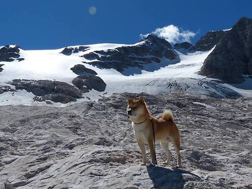 浙江雄狮持续优化轮换保持阵容活力，杭州雄狮运输有限公司