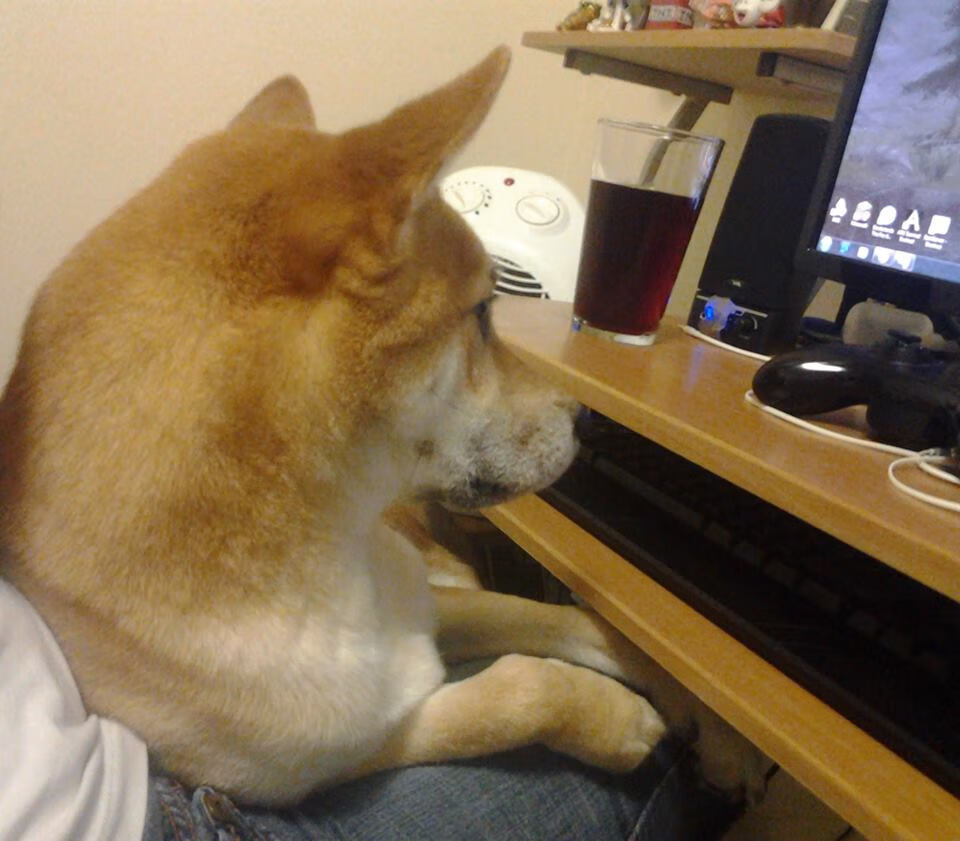 马洛卡核心回归增强中场调度能力,马洛卡vs莱加内斯