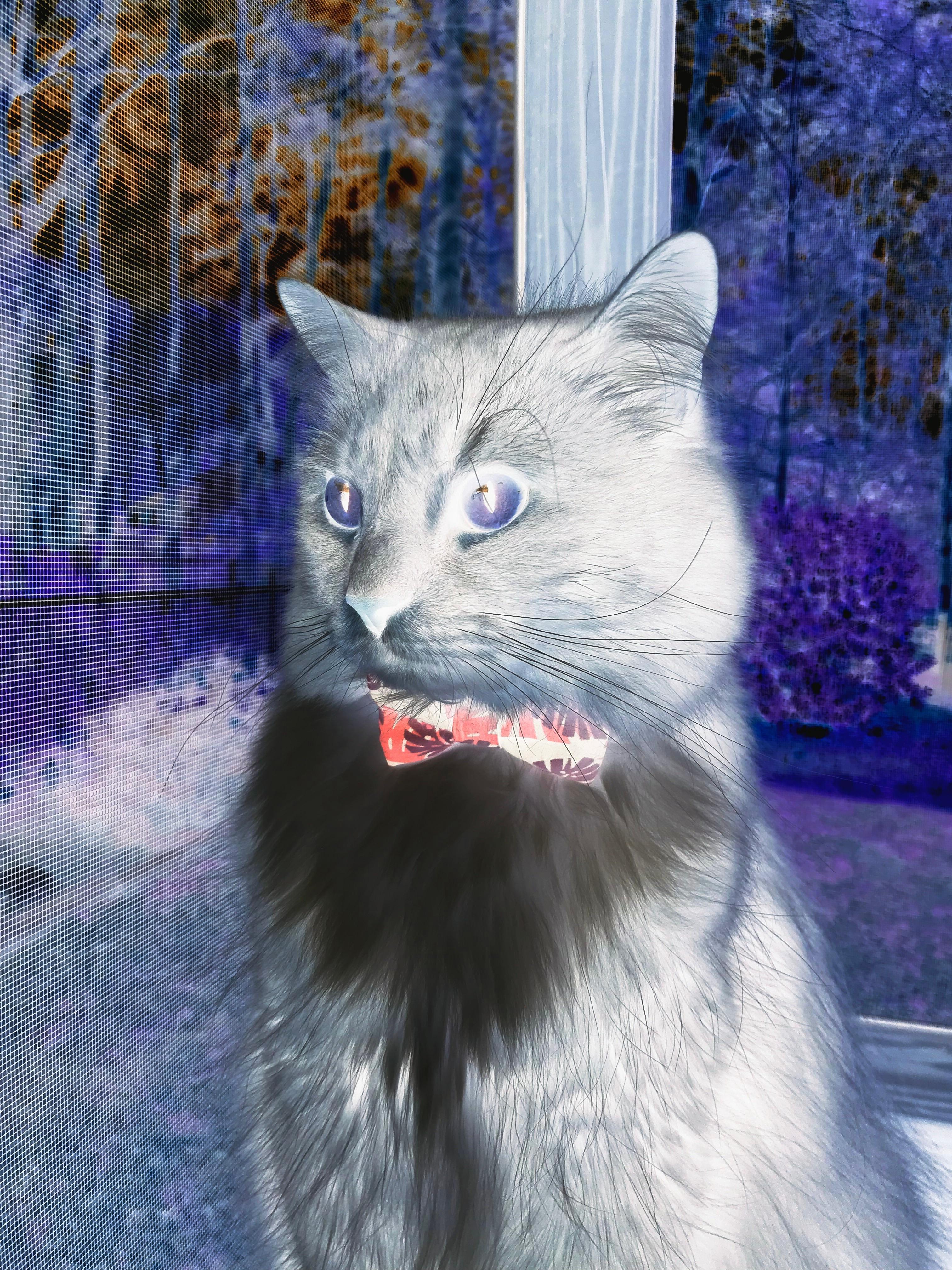 法甲绝密战术：变阵奇兵带来意想不到的效果，法甲绝密战术_变阵奇兵带来意想不到的效果